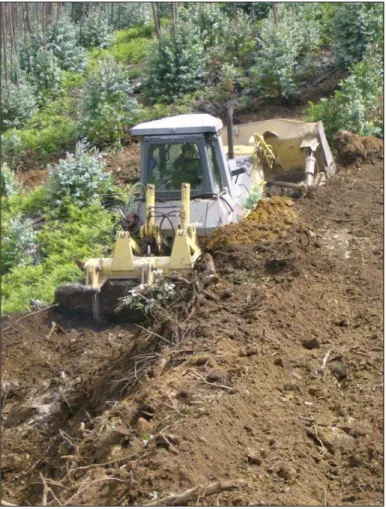 Figure 3. Illustrations of highly variable hillslope conditions generated due to different post-fire  land management operations on mostly small land properties