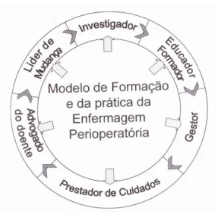 Figura 2 – Modelo de formação e prática da enfermagem perioperatória (AESOP, 2006, p. 9) 