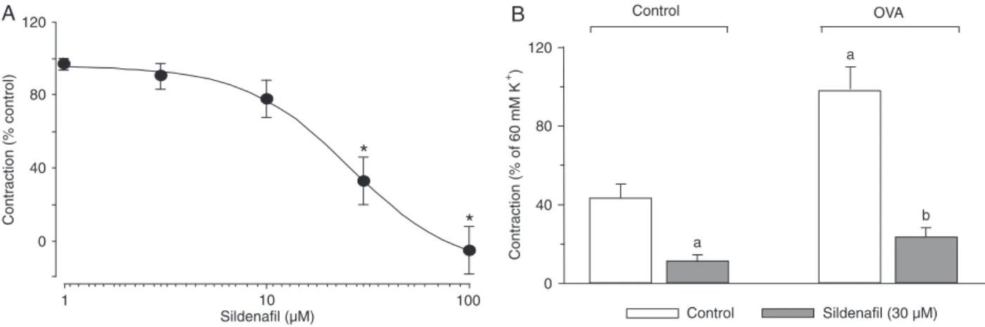 Figure 4.  Effects of sildenafil on tracheal contractions induced by capacitative Ca 2+  entry