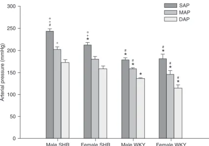 Figure 1. Average systolic (SAP), mean (MAP) and diastolic (DAP) arterial pres- pres-sure of male (N = 8) and female (N = 9) spontaneously hypertensive rats (SHR)