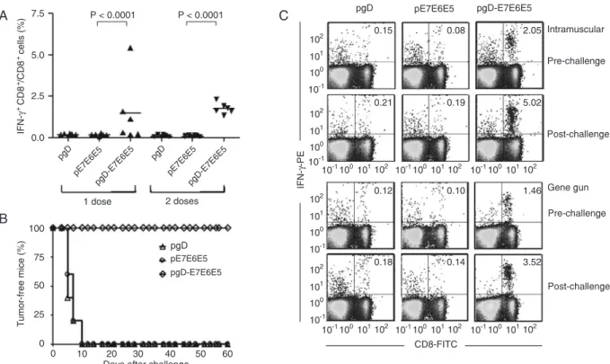 Figure 1.  Induction of E7-specific, IFN-γ-producing CD8 +  T cell precursors and preventive anti-tumor effects in mice immunized id with  the pgD-E7E6E5 vaccine