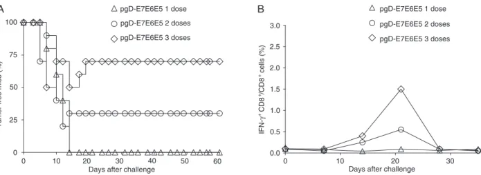 Figure 2. Therapeutic anti-tumor effects and E7-specific CD8 +  T cell responses in mice immunized id with pgD-E7E6E5