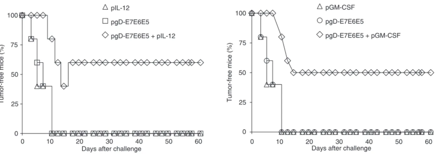 Figure 3. Co-administration of pgD-E7E6E5 and IL-12 or GM-CSF-encoding plasmids confers enhanced anti-tumor therapeutic ef- ef-fects