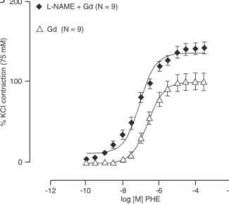 Figure  3.  Concentration-response  curves  to  phenylephrine  (PHE) in control rat aortic rings (Ct), and in rings incubated for  30 min with 100 µM L-NAME (L-NAME; A) and with gadolinium  +  L-NAME  (L-NAME  +  Gd;  B)