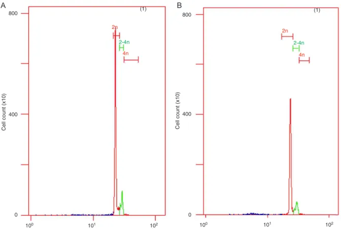 Figure 4. A , Apoptosis of QBC939 cells measured by flow cytometry. Control group (left); Rac1-miRNA group (right)