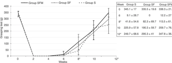 Figure 1 illustrates the median nerve profiles of the three  study groups obtained at the time of the first evaluation  (t0) and at the end of the 6th, 8th, 10th, and 12th weeks  after surgery