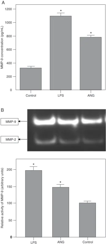 Figure 1.  Measurement of matrix metalloproteinase-9 (MMP-9) lev - -els in the cell-free conditioned media by ELISA (A) and zymography  (B)