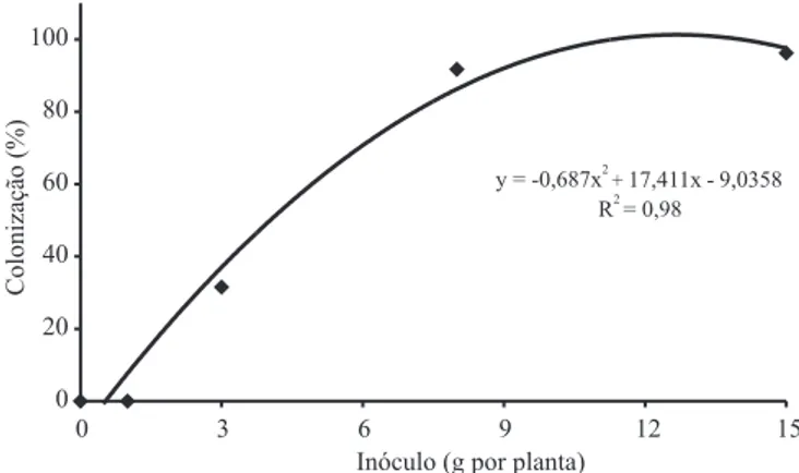 Figura 1. Porcentagem de colonização micorrízica de mudas de banana-maçã sob inoculação de Gigaspora margarita em doses crescentes de inóculo.