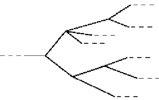 Figure 2.5: Linear and branching-time structure of time of temporal logics.