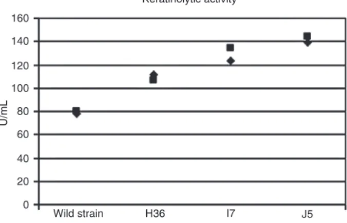 Figure 2. Keratinolytic activity showing higher activity of mutants  compared  to  the  wild  strain  (N  =  2)