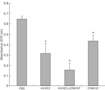 Figure 4. Effect of immune sera on HUVEC proliferation. Immune  sera isolated from viable HUVEC+CRM197-immunized mice had  the strongest ability to inhibit the proliferation of HUVECs in vitro