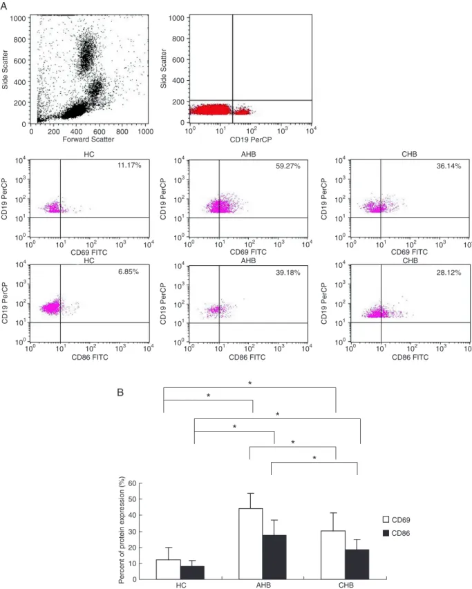 Figure 2.  Protein expression profiles of B-cell activation markers including CD69 and CD86 in B lymphocytes from peripheral blood  of healthy controls (HC) and of patients with acute hepatitis B (AHB) and chronic hepatitis B (CHB)