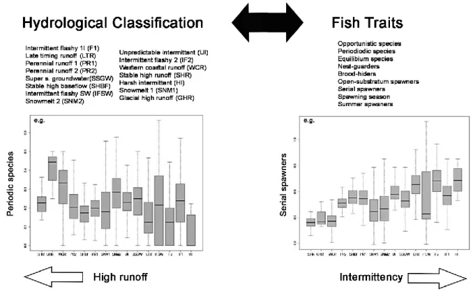 Figure  2.1  -  Parameters  used  in  the  development  of  a  predictive  linkage  between  the  hydrologic  classification and fish traits (top)
