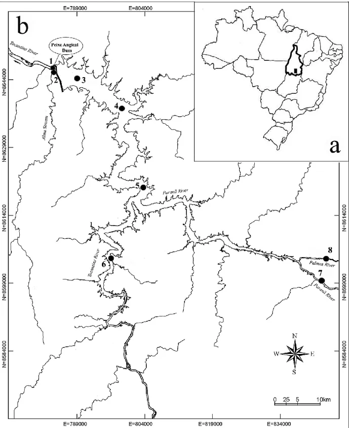 Figure 3.1 - Location of the study area and sampling sites (1 to 8). a – Brazil, Tocantins State; b –  Tocantins River and Peixe Angical Dam