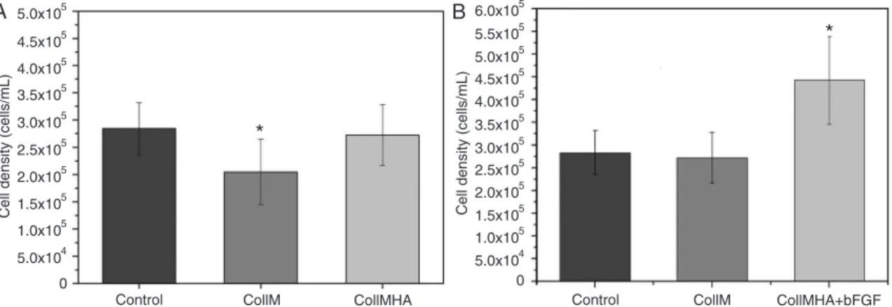 Figure 2A shows the total number of viable cells present  in CollM and CollMHA cultures compared to control