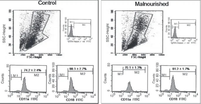 Figure 1.  CD11a and CD18 expression on peripheral leukocytes obtained from control and malnourished mice