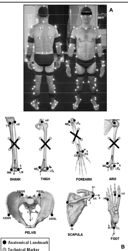 Figure 1. Segment anatomical coordinate sys- sys-tem included in the model. A, Static trial marker  positioning