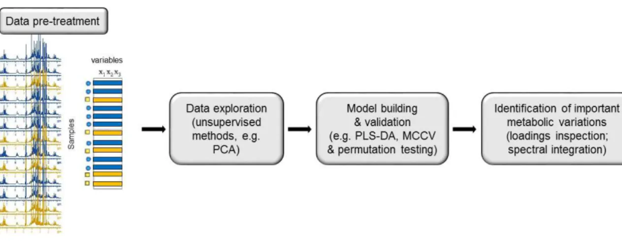 Figure 1.8. Typical workflow for the multivariate analysis of NMR data in metabolomic studies