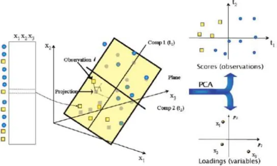 Figure  1.9.  Scheme  representing  principal  component  analysis  (PCA),  whereby  the  observations  are  projected  into  the  space  defined  by  the  new  reduced  set  of  variables  (principal  components)  obtained by linear combination of the ori