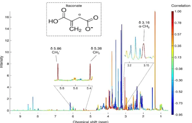 Figure 3.6. STOCSY confirming the assignment of itaconate in RAW 264.7 cells; driver peak 5.86  ppm