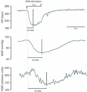 Figure 1. Typical tracings from a normotensive control rat show- show-ing the time (∆t-max) to reach the maximum decrease in heart  rate  (HR,  upper  panel),  mean  arterial  pressure  (MAP,  middle  panel) and hindquarter resistance (HQR, lower panel) fo