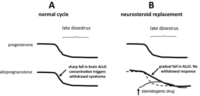 Figure 3. Schematic presentation of the rationale behind short-term neurosteroid replacement to prevent development of proges- proges-terone withdrawal-evoked anxiogenesis during late diestrus