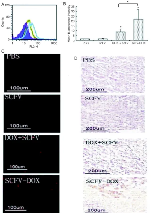 Figure  4.   Histological  analysis  of  tumor  tissues.  A  and  B,  Flow   cy-tometry analysis of single-cell  sus-pensions of tumor tissue