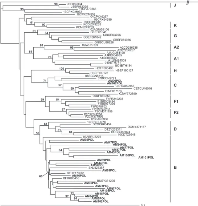 Figure 2. Rooted NJ tree of 23 HIV-1 strains based upon a 706-bp fragment of the pol region