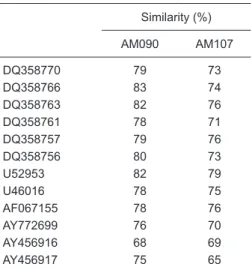 Table 4.  Similarity analysis using the env region  of HIV-1 isolates. Similarity (%) AM090 AM107 DQ358770 79 73 DQ358766 83 74 DQ358763 82 76 DQ358761 78 71 DQ358757 79 76 DQ358756 80 73 U52953 82 79 U46016 78 75 AF067155 78 76 AY772699 76 70 AY456916 68 