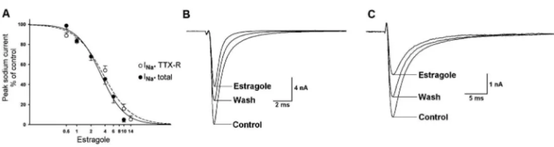 Figure 4. Effects of 4 mM estragole on kinetic parameters of total (INa + total) and tetrodotoxin-resistant (INa + TTX-R) Na + current.