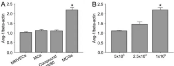 Figure 1A). In contrast, co-culture of MMVECs with nonactivated MCs resulted in a trend to increased Ang-1 mRNA levels (Figure 1A), which could be due to the slow process of spontaneous degranulation in MCs without any stimulation