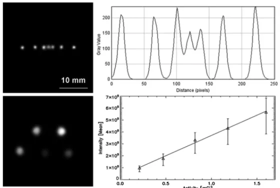 Figure 2 (upper panels) shows the results of the spatial resolution determination test