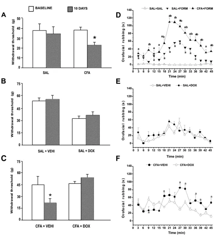 Figure 5. Mechanical and nociceptive sensitivity. Panels A, B, and C, mechanical sensitivity in the control period (baseline) and 10 days after treatment