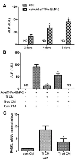 Figure 4. Induction of osteoblast differentiation evaluated by a combination of treatment with conditioned medium (CM; Ti CM and Ti-ad CM) and Ad-siTNFa-BMP-2