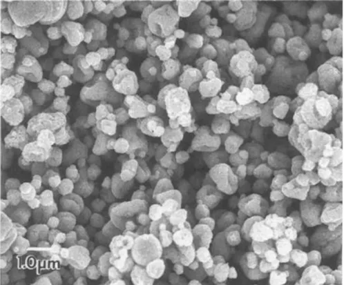 Figure 14 - SEM micrograph of lithium tantalate powder calcined at 800~ in air for 2 h  prepared by jean et al