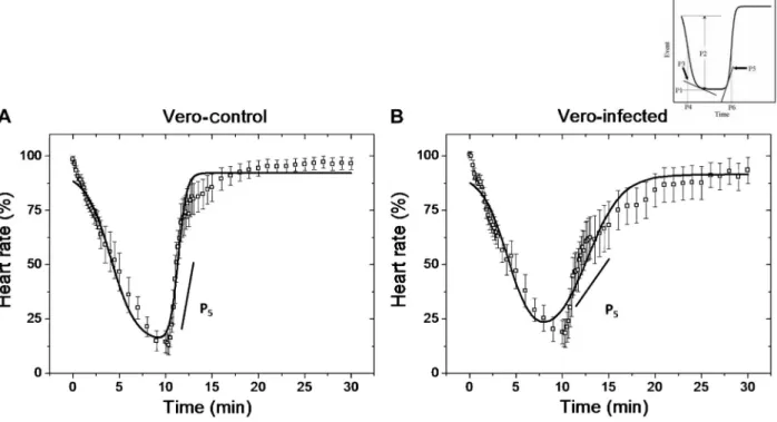 Figure 2. Average heart rate (HR) during the ischemia-reperfusion process. Dotted lines represent the mean ± SE HR in all ischemia- ischemia-reperfusion cycles
