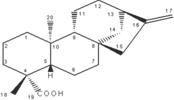 Figure 1. Structure of ent-kaur-16-en-19-oic acid (kaurenoic acid, KA).