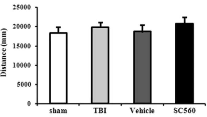 Figure 1. Effects of SC560 treatment in the traumatic brain injury (TBI) mouse model evaluated by the open field