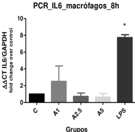 Figura 7 - Avaliação da expressão gênica de IL - 6 em cultura primária de macrófagos de rato,  estimulados por Artin M para os períodos de 4, 8, 12 e 24h .
