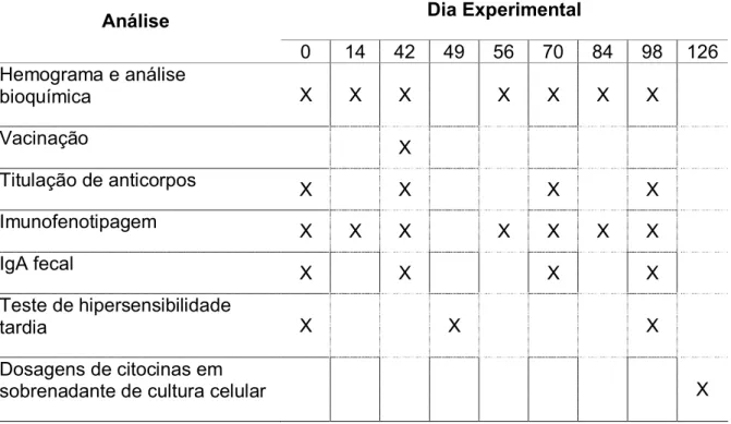 Tabela 4. Procedimentos realizados durante o período experimental. 