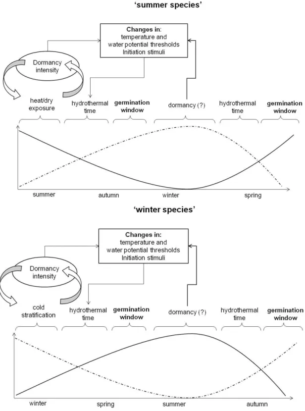 Figure  3  –  Conceptual  scheme  for  the  study  of  germination  ecology  based  in  time  of  seed  dispersal, dormancy breaking mechanisms and dormancy intensity