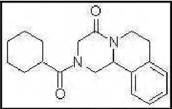 Figura 3: Estrutura química do PRZ (PM=312,41). 
