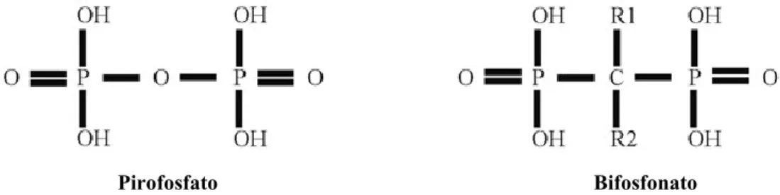 Fig. 1- Estrutura química do pirofosfato e bifosfonato (Adaptado de Drake, Clarke, &amp; Khosla, 2008) 