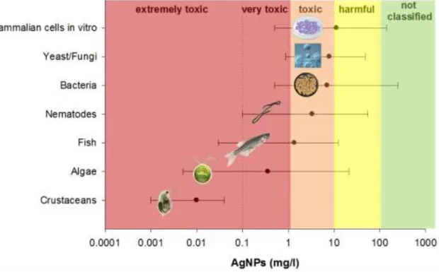 Figure  1  -  Toxicity  (minimum  and  maximum  values)  of  AgNPs  to  different  taxa