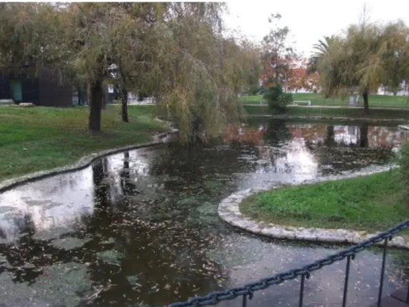 Fig. 6. S. António Park location pond 3 