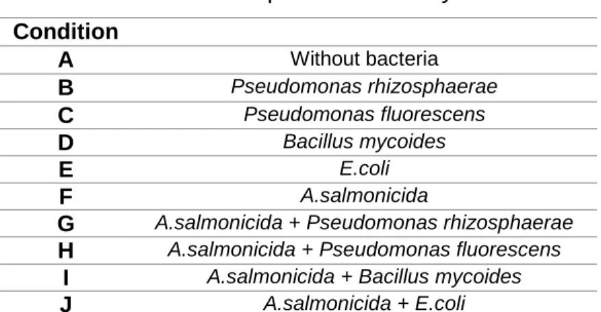Table 1. Experimental assay  Condition  A  Without bacteria  B  Pseudomonas rhizosphaerae  C  Pseudomonas fluorescens   D  Bacillus mycoides  E  E.coli  F  A.salmonicida 