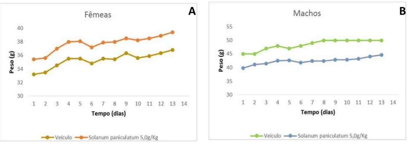 Figura 6. Evolução do peso corporal (14 dias) de camundongos Swiss fêmeas (A) e machos (B) tratados com EHSPFl (5.0  g/Kg) no modelo de toxicidade aguda