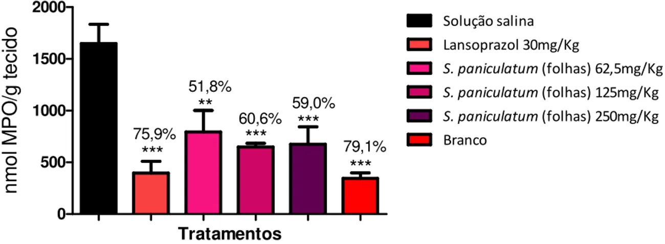 Figura 12. Quantificação dos níveis de mieloperoxidase (MPO) em ratos Wistar machos pré-tratados com EHSPFl  submetidos ao modelo de indução de úlceras gástricas por indometacina.