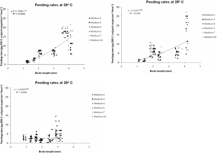 Figure 3.1 – General regression lines for 20º, 25º and 30º C plotting log  Feeding rates per organism per hour versus log Body length  performed at constant food concentration of 7 µg C