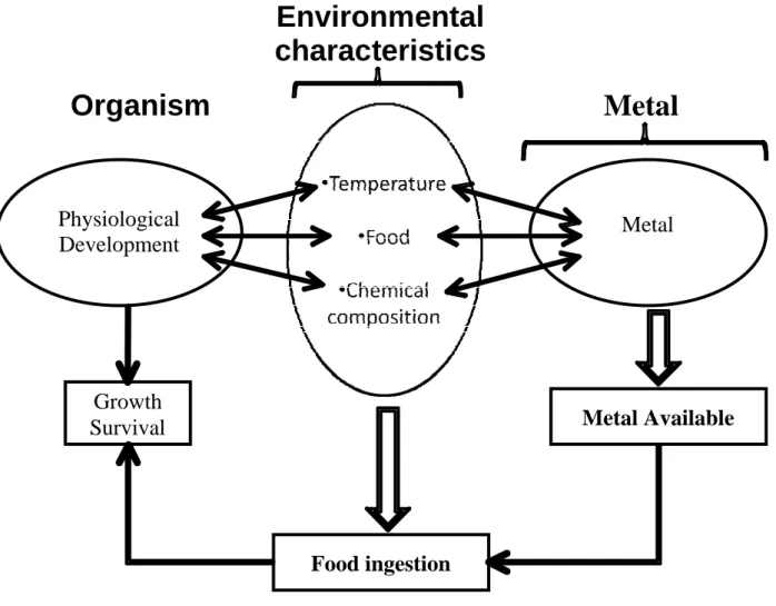 Figure 4.1 – Schematic diagram of the proposed BLM approach 